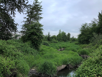 Logan Creek in Langley City