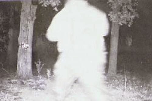 Bob Olson A Co-Founder Of The Northern Minnesota Bigfoot Society