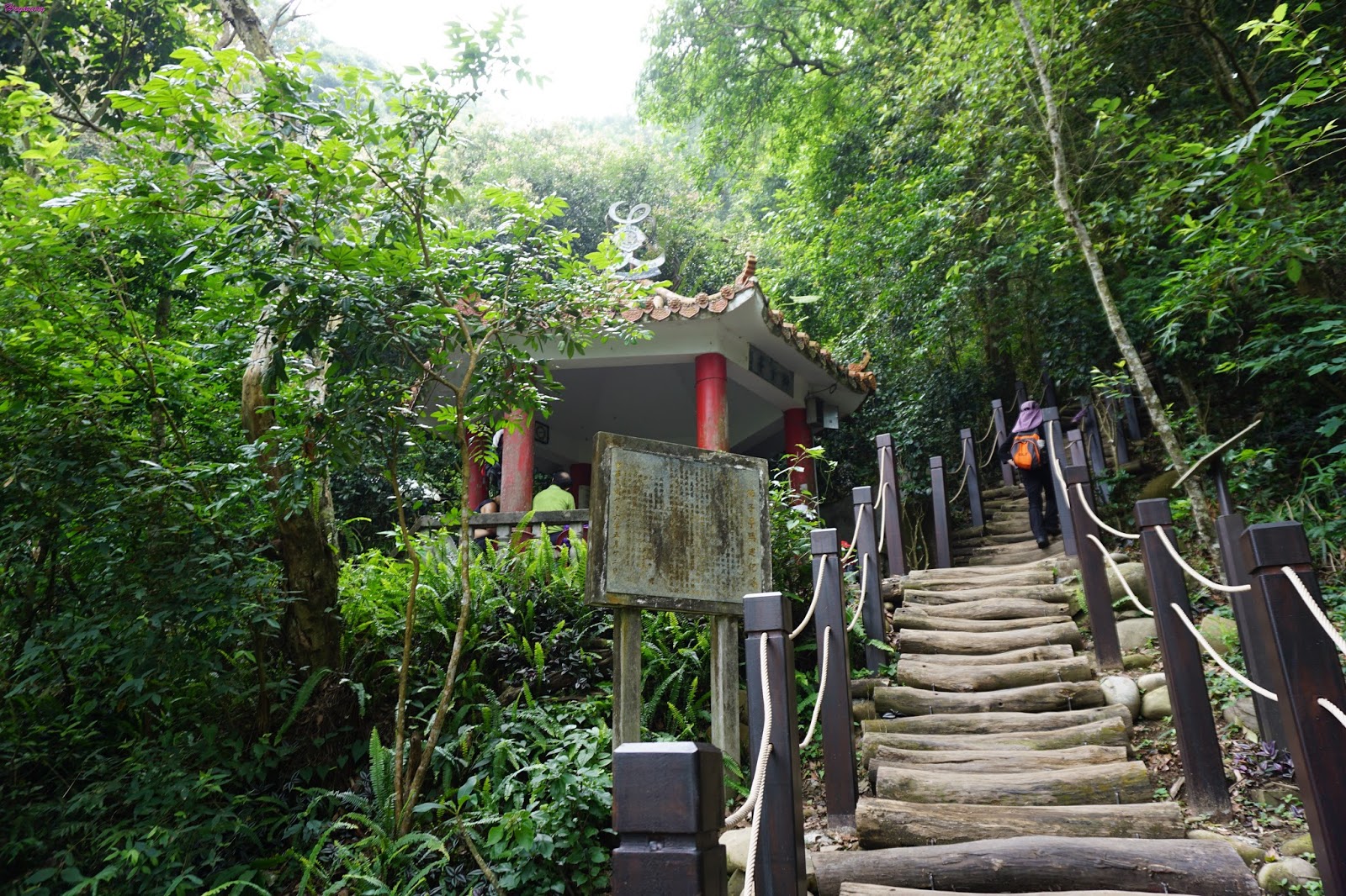 台中市北屯區/大坑二號步道