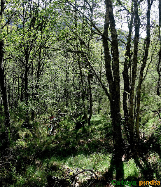 Ruta circular al Pico Mostellar y Lagos desde Burbia en León