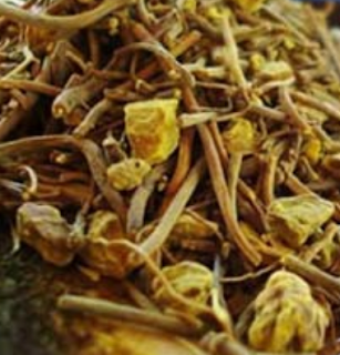 goldenseal root, a natural wormer for dogs and cats