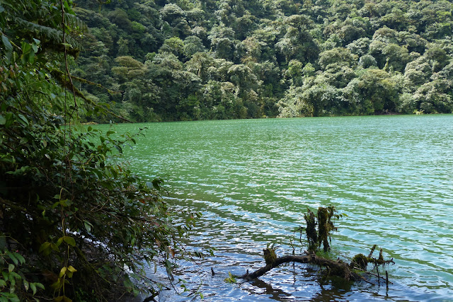 Lagune verte dans le cratère du Cerro Chato