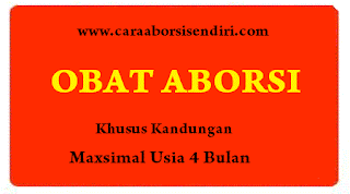 www.caraaborsisendiri.com