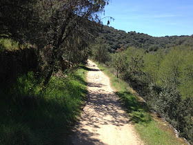 Unas fotos de nuestra ruta por los Canales y el Cañón del Guadalix - Abril 2013