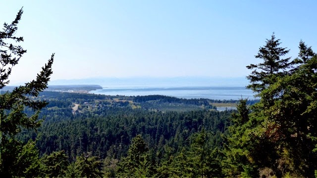 P1110582