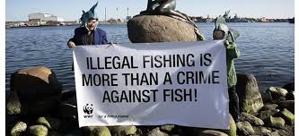 Faktor Illegal Fishing