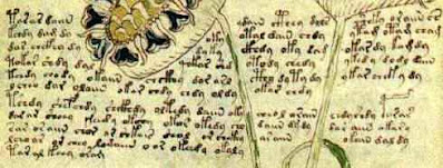 Un esempio di testo intraducibile dal manoscritto Voynich