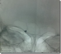 07122012356