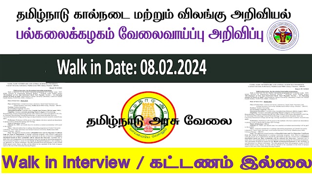  தமிழக அரசில் வேலைவாய்ப்பு அறிவிப்பு 2024 | Apply Now!!