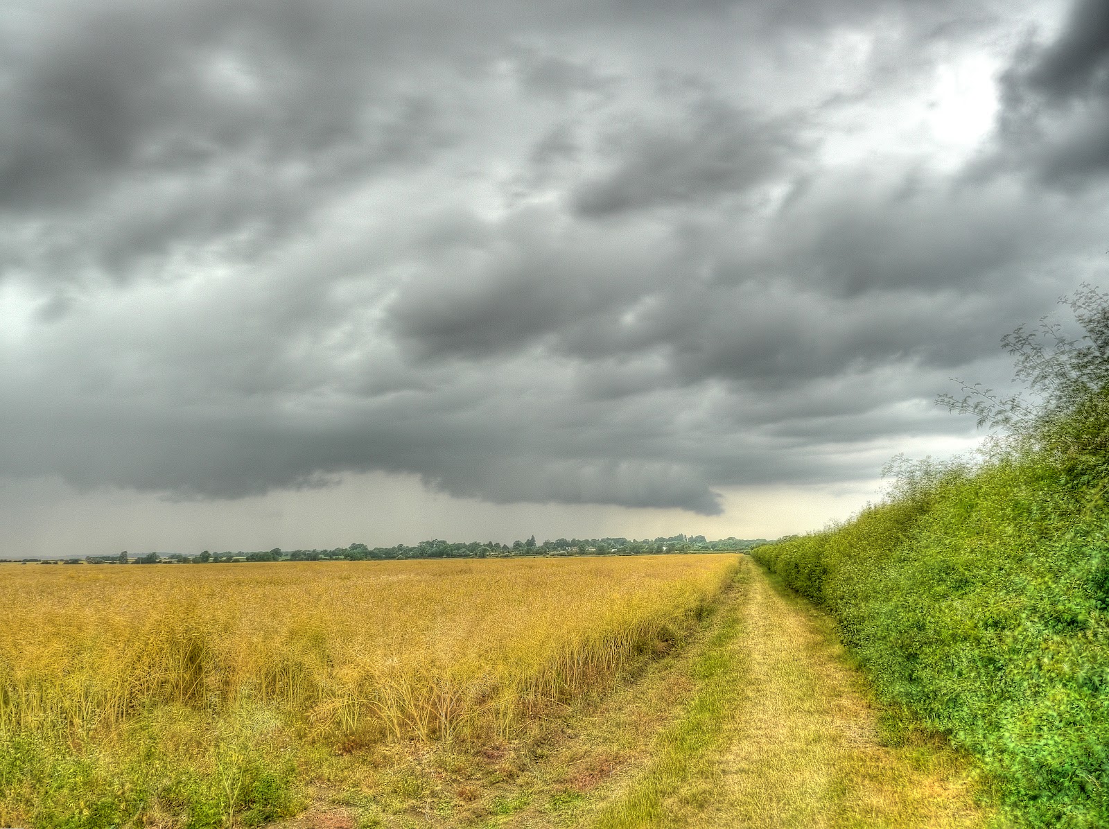 P1140454_48_49_50_51_52_53_tonemapped.jpg
