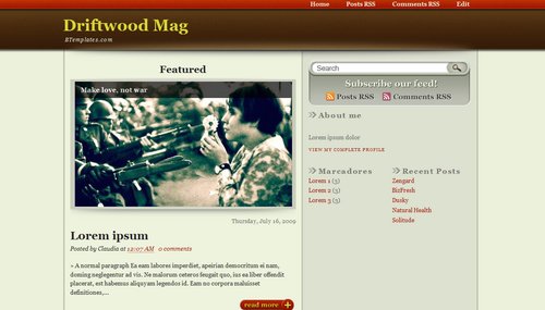 Driftwood Mag Blogger Template