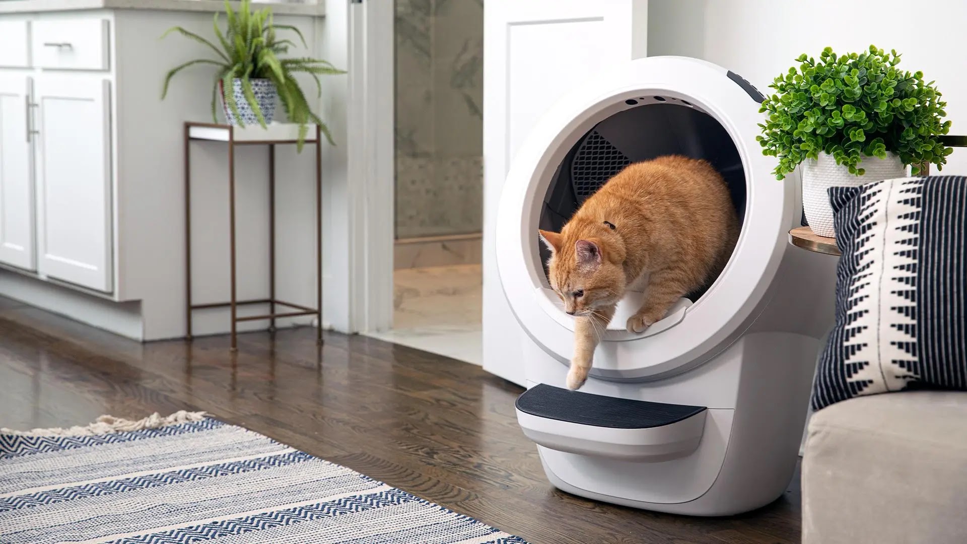 Purr-fect Gadgets: The Best Tech for Your Feline Friend