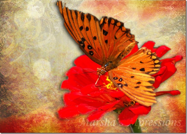 butterfly with effects w watermark