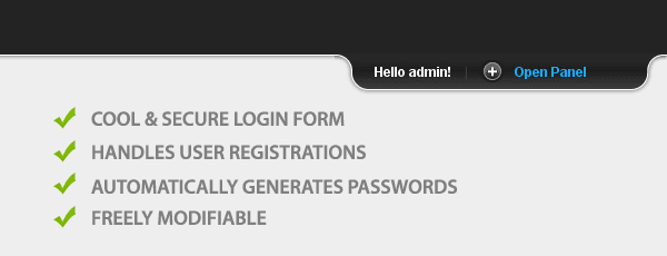 The login system