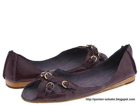 Pointer schuhe:schuhe-290581