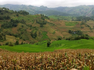 Bac Ha, Lao Cai, Vietnam