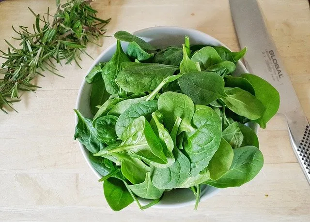 Sayur Bayam Adalah Sayur Kesukaanku