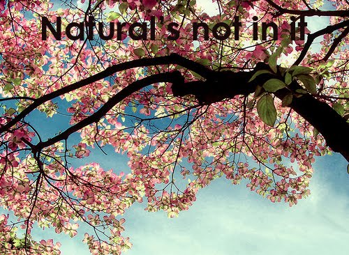 natural's not in it