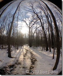 SueReno_RockyRidgeTrail