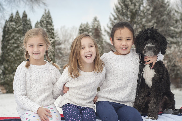 family dog