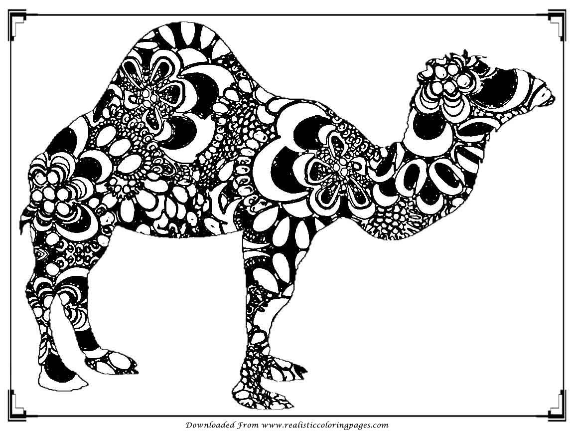 Download New Camel Coloring Pages to Print | Top Free Printable ...