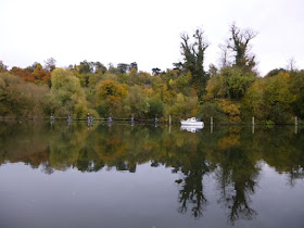 http://bugsandfishes.blogspot.co.uk/2015/11/an-autumn-walk-along-thames.html