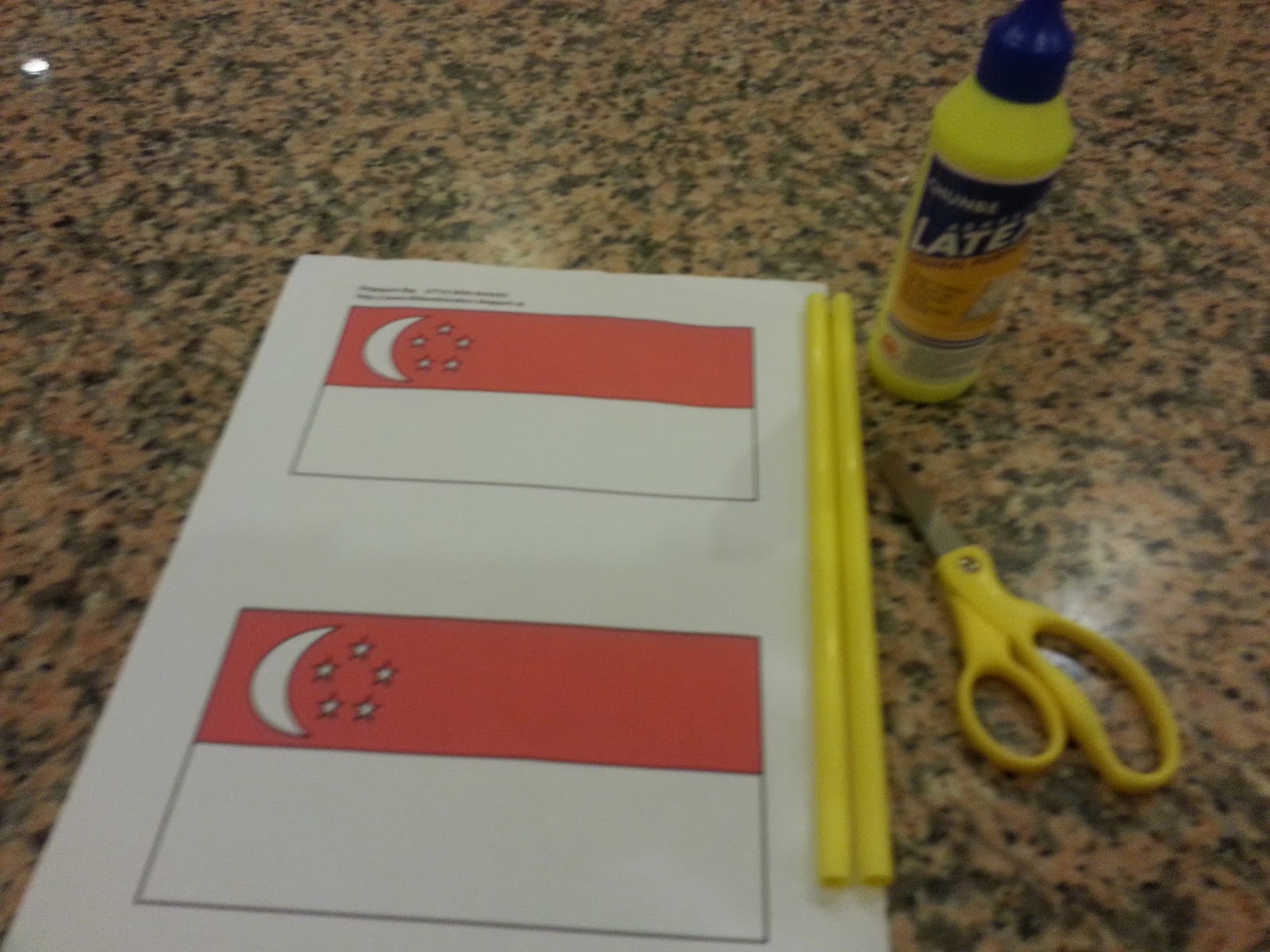 Banner: Singapore National Day Flag Craft