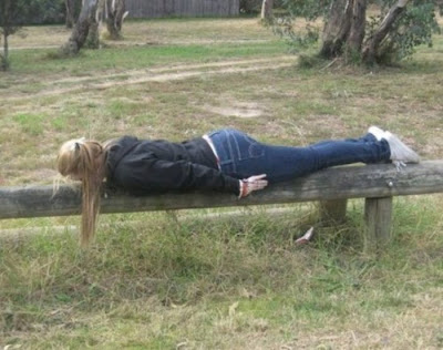 Planking Craze Seen On lolpicturegallery.blogspot.com