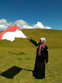 Saya Cinta Indonesia