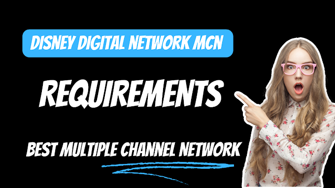 disney digital network requirements 