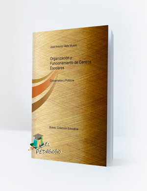 ORGANIZACIÓN Y FUNCIONAMIENTO DE CENTROS ESCOLARES - Concertados y públicos - José A.Valle Mulero - 85 páginas - [LIBRO][PDF]