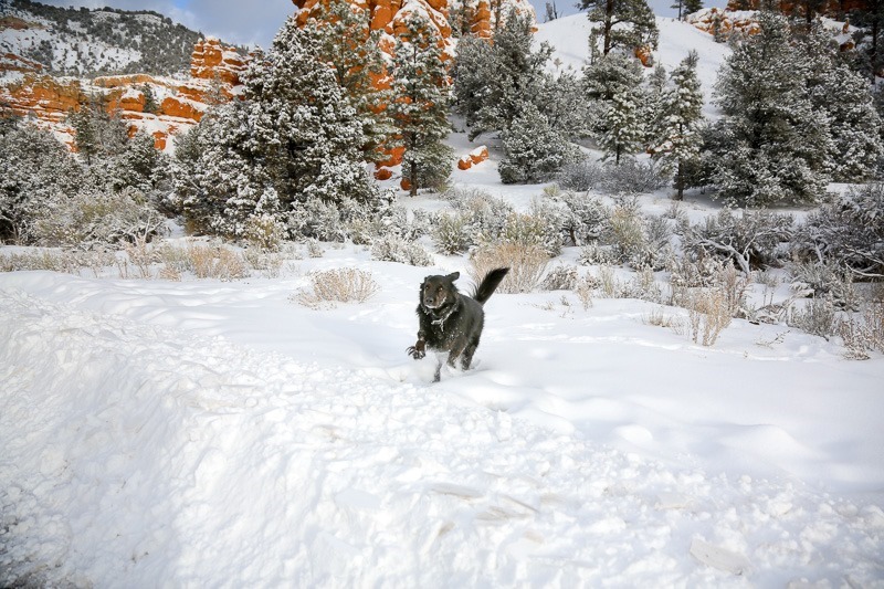 red canyon-6