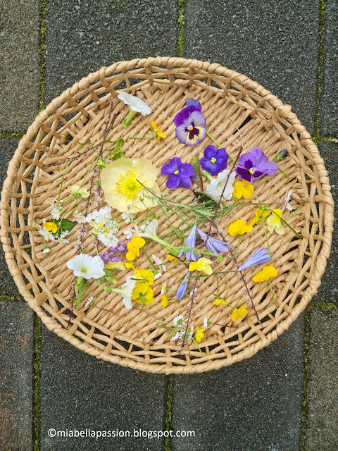 Pressed Flower Craft