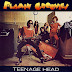 1971 Teenage Head - Flamin' Groovies