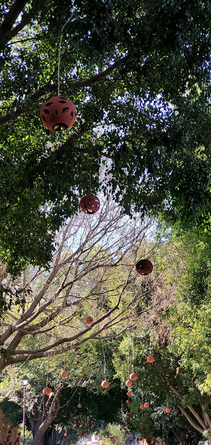 red, round clay lanterns hanging from trees with green leaves. One tree is without leaves.