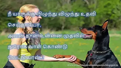 Best Friendship Quotes in Tamil 33