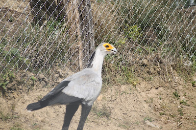 parc des oiseaux