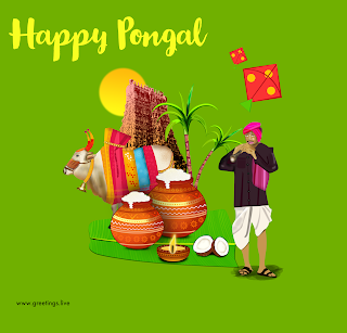 Happy Pongal greetings Sun rises temple gopuram kites flying and decorated cow sugar canes and Pongal pots and a man performing music