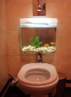 fish tank