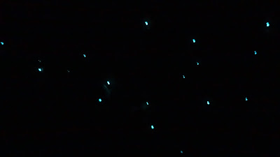 Gratis Glow worms