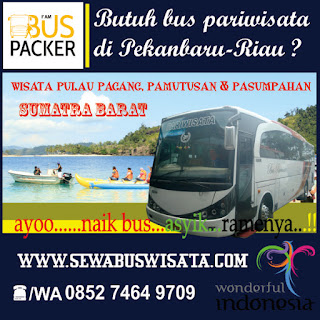 bus pariwisata pekanbaru