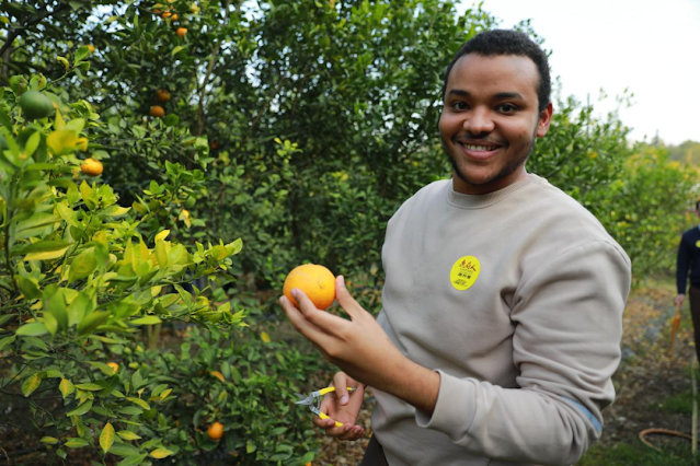 Consular delegations from 17 countries in Guangzhou gathered in Deqing to taste citrus