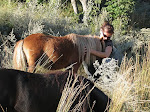 tondeuse à gazon naturelle