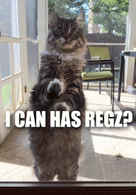 Zach's cat trying to get in from the screen porch, with the humorous caption, 'Can I Has Regz?'