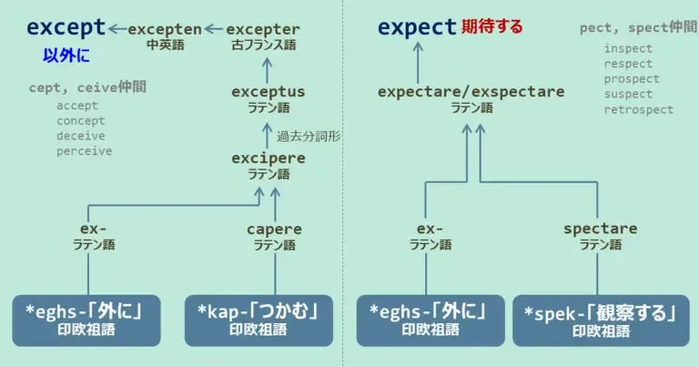 except, expect, スペルが似ている英単語