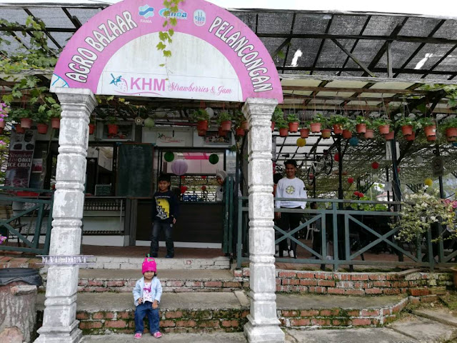 Tempat Makan sedap Cameron Highland