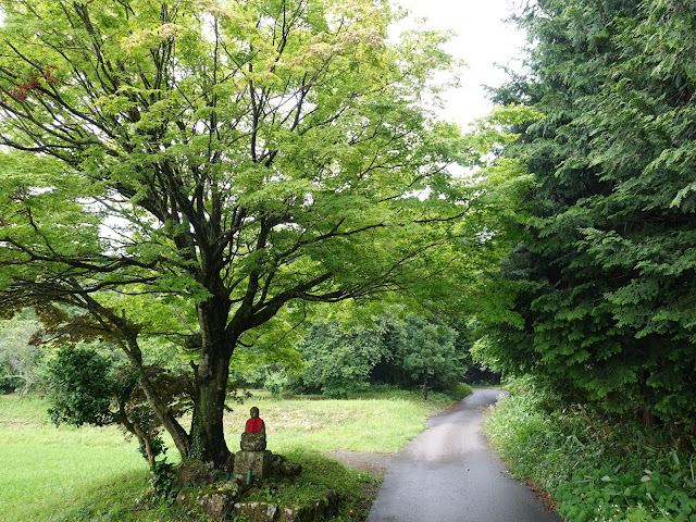鳥取県西伯郡伯耆町岩立　農道横の木の下地蔵