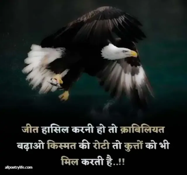 motivational shayari, motivational shayari in hindi, success motivational shayari, life motivational shayari, motivational shayari for students, inspirational shayari, success shayari in hindi 2 lines,