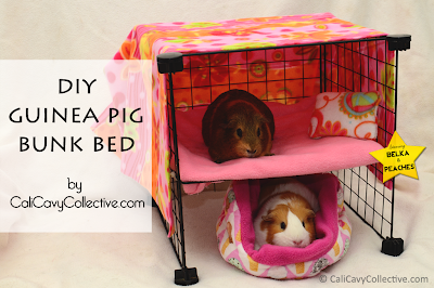 guinea pig C&C bunk bed
