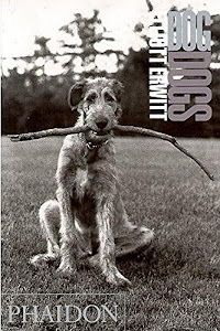 Dog dogs (en anglais)